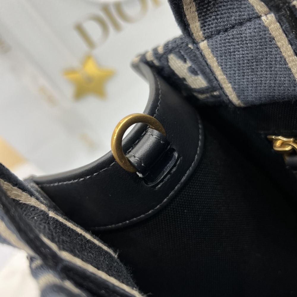 This is the Dior Book Tote mini (small/horizontal tote bag), one of Dior's most popular classic collections.