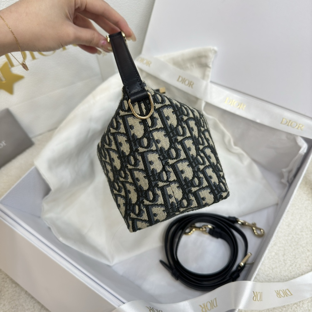 The Dior Travel Nomad monogram lunchbox bag (also known as the Dior Hobo / underarm bag) is a super popular and practical style in recent years.