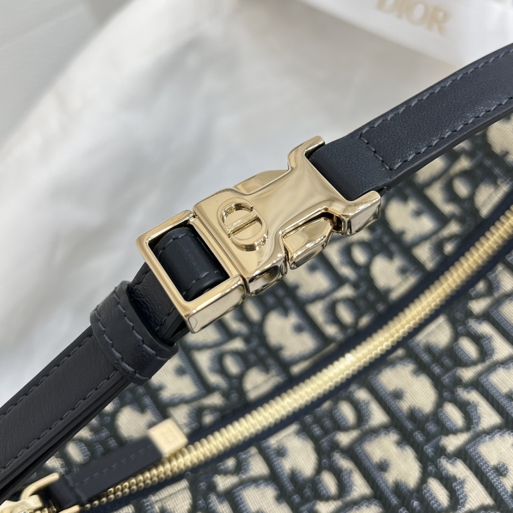 The Dior Travel Nomad monogram lunchbox bag (also known as the Dior Hobo / underarm bag) is a super popular and practical style in recent years.