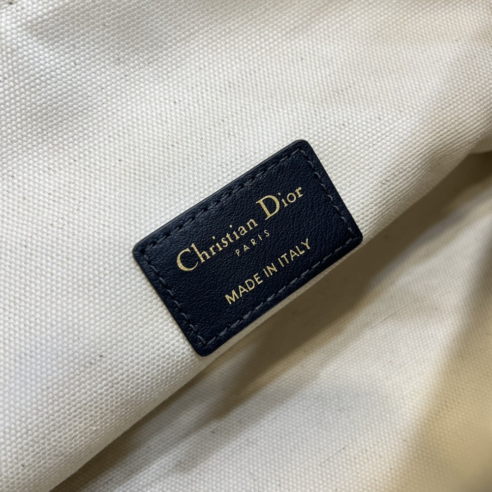 The Dior Travel Nomad monogram lunchbox bag (also known as the Dior Hobo / underarm bag) is a super popular and practical style in recent years.