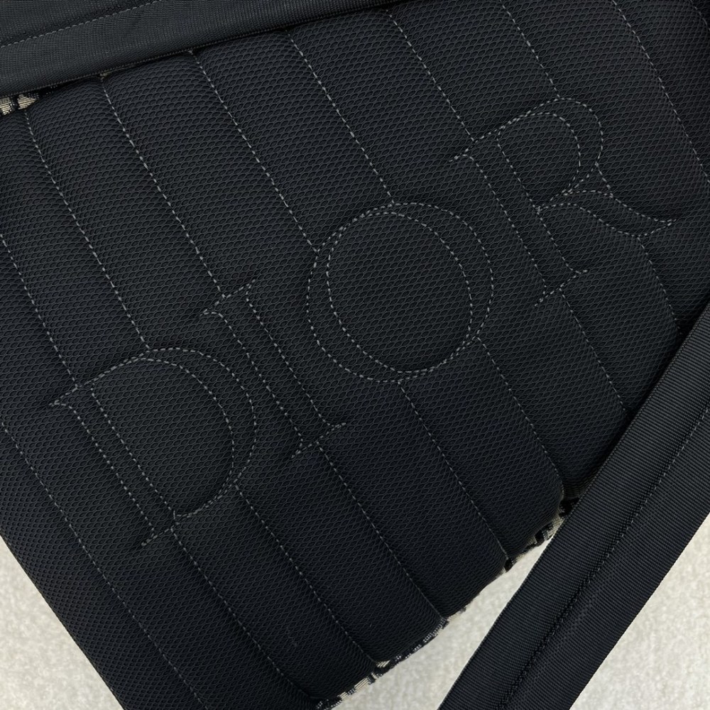 The Dior Oblique monogram backpack (Rider series) is a popular backpack that combines practicality with the brand's iconic design.