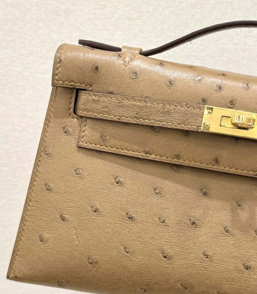 The Hermès Mini Kelly I (also known as the Kelly Pochette) Ostrich Leather Handbag is one of the brand's classic exotic leather models.