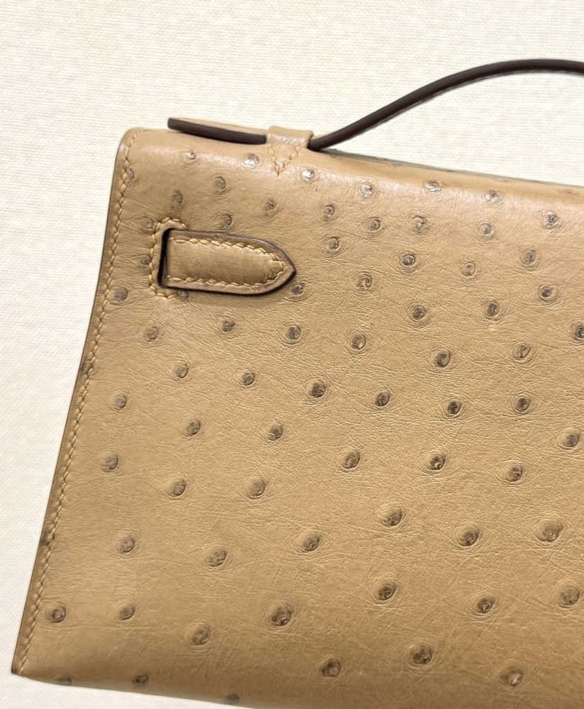 The Hermès Mini Kelly I (also known as the Kelly Pochette) Ostrich Leather Handbag is one of the brand's classic exotic leather models.