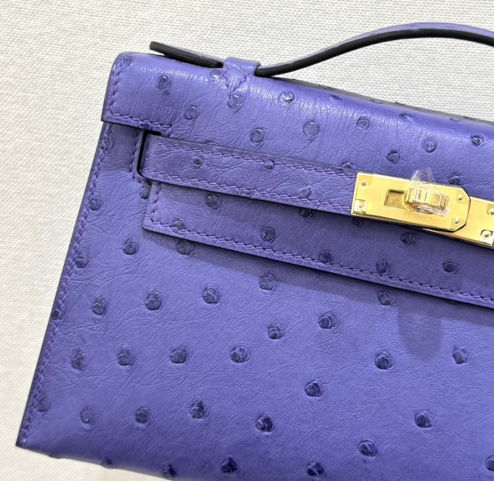The Hermès Mini Kelly I (also known as the Kelly Pochette) Ostrich Leather Handbag is one of the brand's classic exotic leather models.