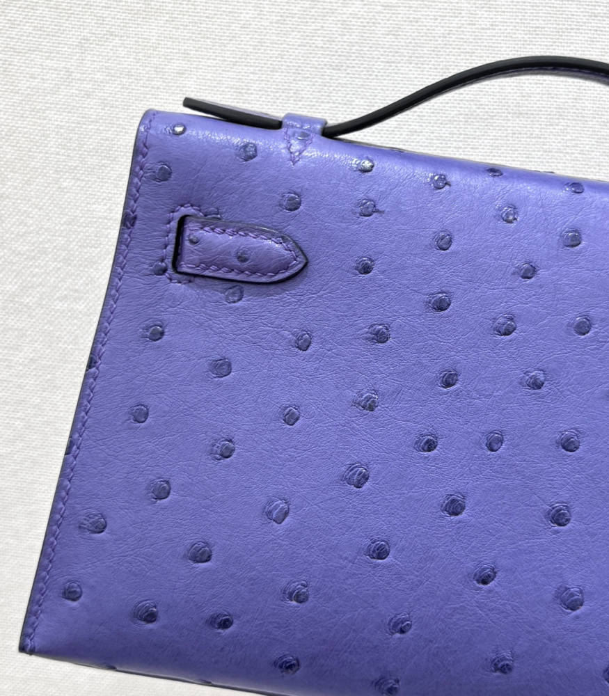 The Hermès Mini Kelly I (also known as the Kelly Pochette) Ostrich Leather Handbag is one of the brand's classic exotic leather models.