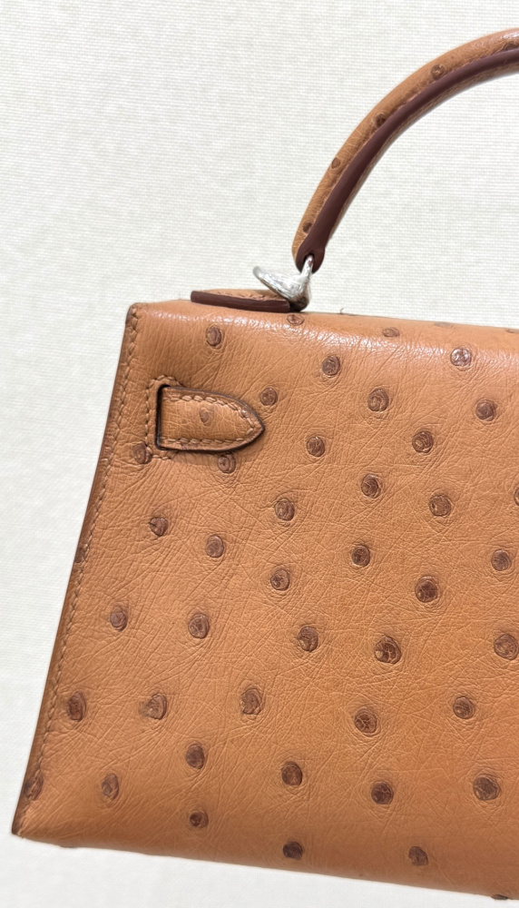 The Hermès Mini Kelly I (also known as the Kelly Pochette) Ostrich Leather Handbag is one of the brand's classic exotic leather models.