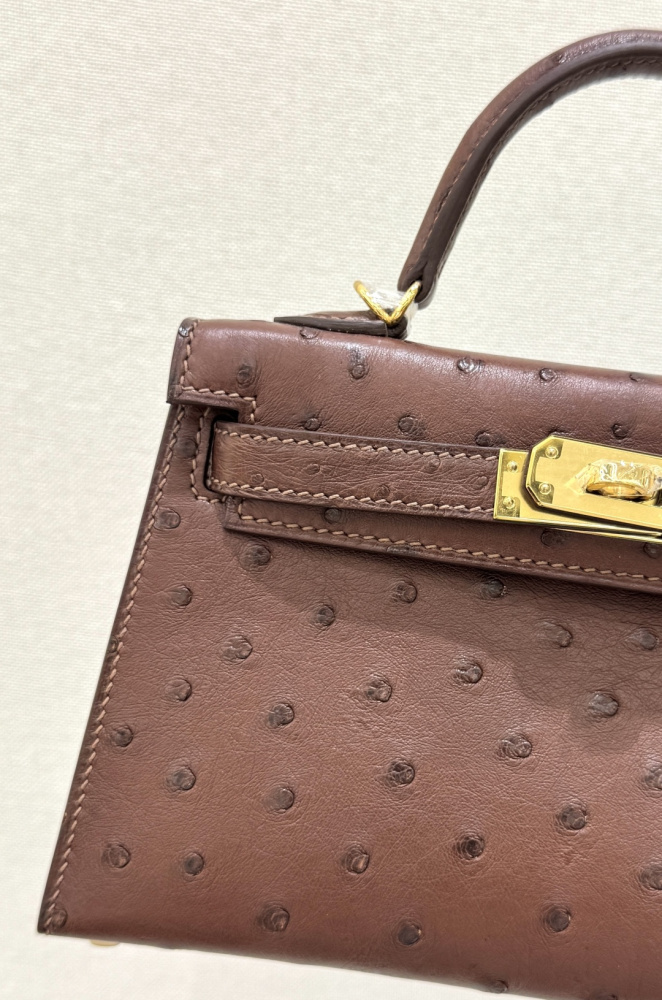 The Hermès Mini Kelly I (also known as the Kelly Pochette) Ostrich Leather Handbag is one of the brand's classic exotic leather models.