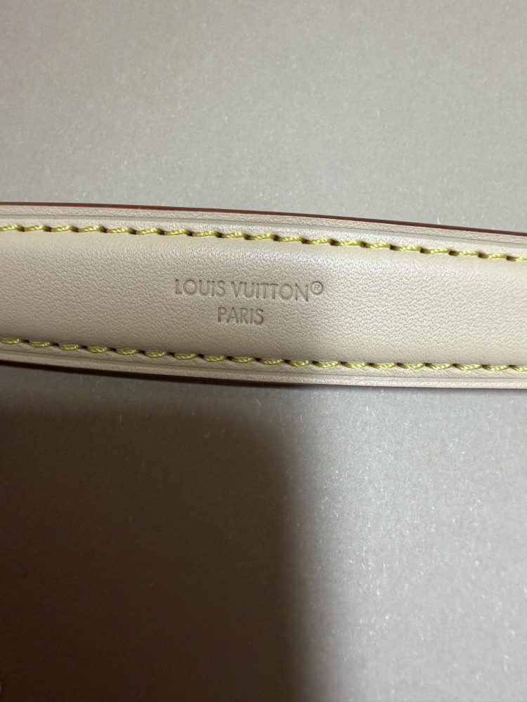 The Louis Vuitton Nano Diane mini baguette bag features the brand's iconic Monogram denim canvas.