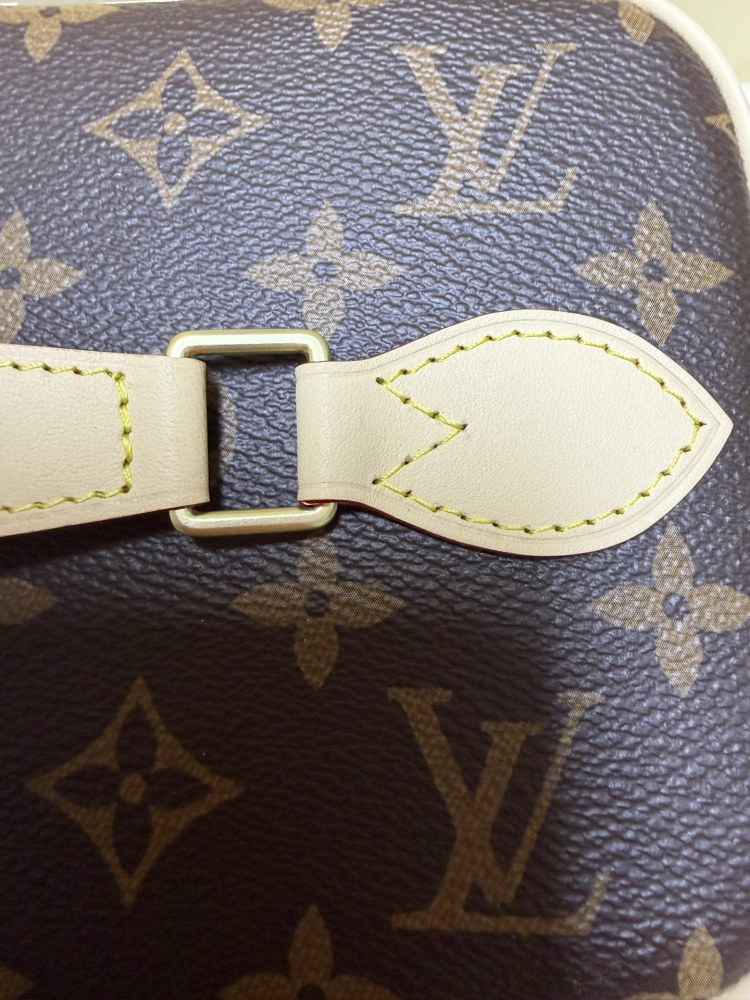 Louis Vuitton Nice BB Small Vanity Case / Handbag, crafted in the brand's classic Monogram canvas.