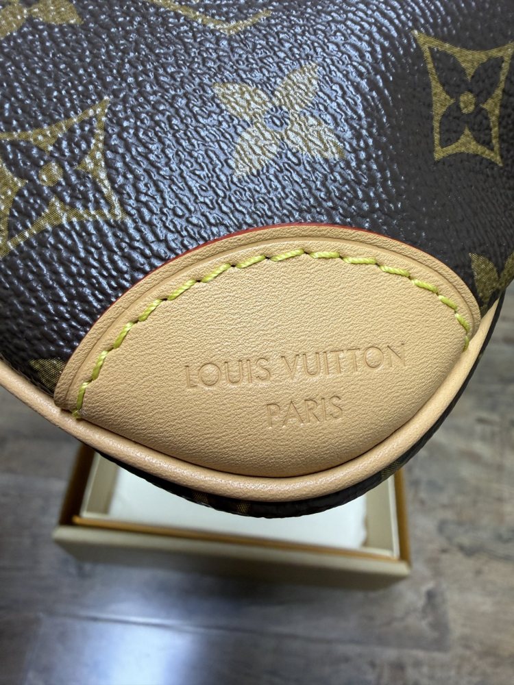 The Louis Vuitton LV Mini Hobo—often referred to as the "Moon Bag"—is crafted from the brand's classic Monogram canvas.