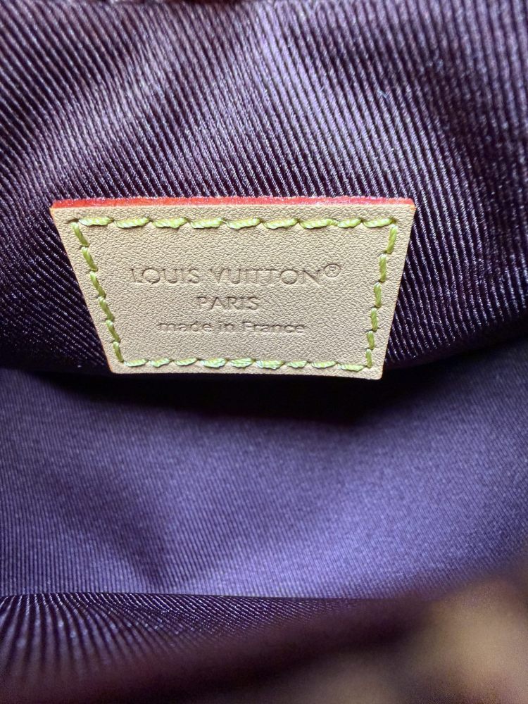 The Louis Vuitton LV Mini Hobo—often referred to as the "Moon Bag"—is crafted from the brand's classic Monogram canvas.