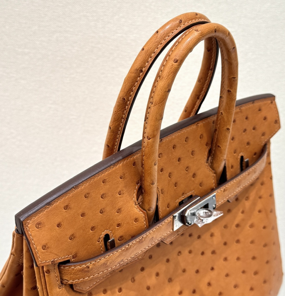 The Hermès Birkin 30 handbag in Ostrich leather—rendered in the "Gold" shade (also known as "Gold Brown" or "Caramel") and accented with silver hardware—is a classic model from the brand and a highly collectible, rare-skin edition.