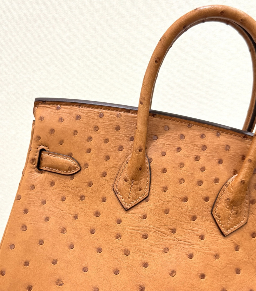 The Hermès Birkin 30 handbag in Ostrich leather—rendered in the "Gold" shade (also known as "Gold Brown" or "Caramel") and accented with silver hardware—is a classic model from the brand and a highly collectible, rare-skin edition.