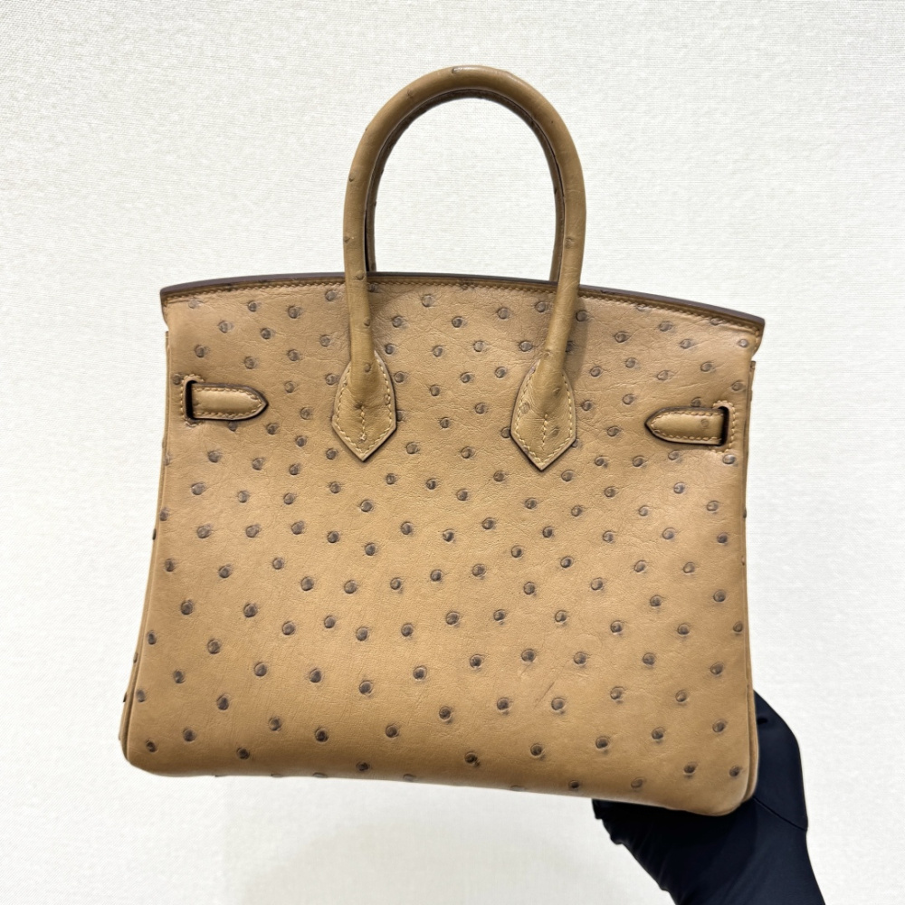 The Hermès Birkin 30 in Ostrich leather—in the "Milk Tea" shade (also known as "Light Camel" or "Sand") paired with gold hardware—stands as one of the quintessential examples of rare-skin handbags with a soft, gentle aesthetic.