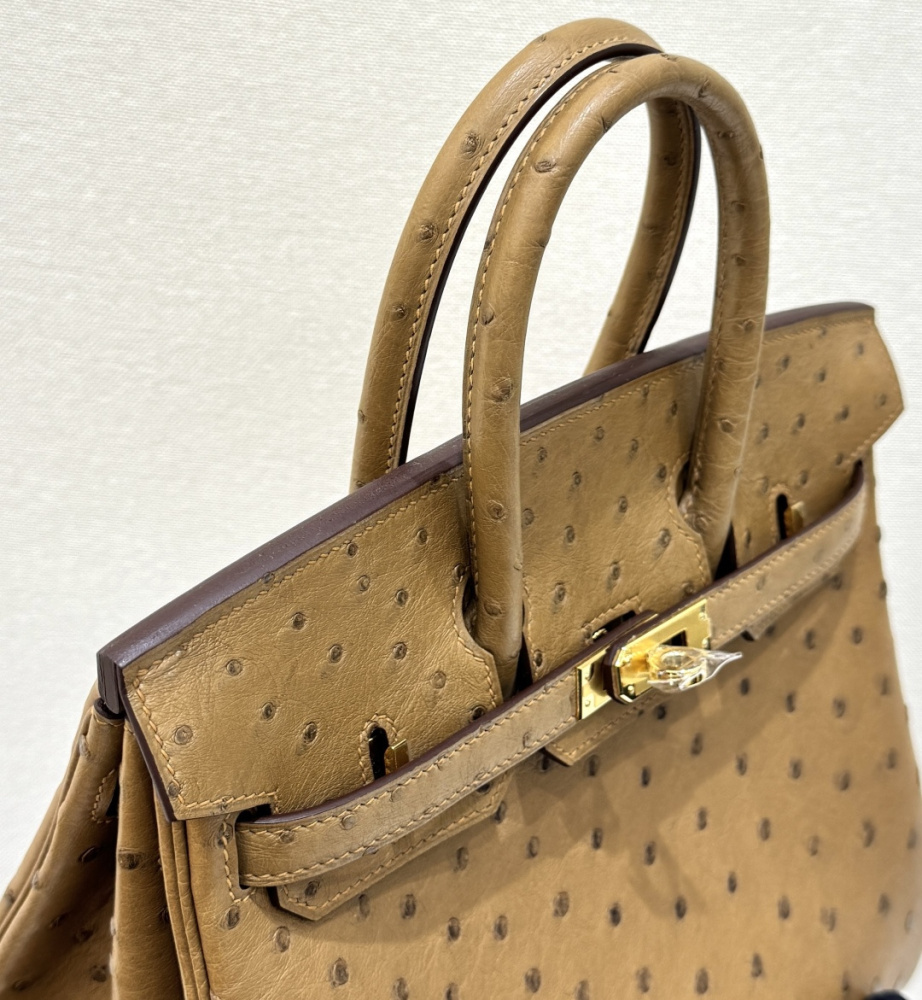 The Hermès Birkin 30 in Ostrich leather—in the "Milk Tea" shade (also known as "Light Camel" or "Sand") paired with gold hardware—stands as one of the quintessential examples of rare-skin handbags with a soft, gentle aesthetic.