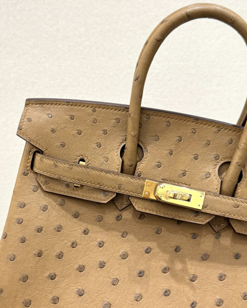The Hermès Birkin 30 in Ostrich leather—in the "Milk Tea" shade (also known as "Light Camel" or "Sand") paired with gold hardware—stands as one of the quintessential examples of rare-skin handbags with a soft, gentle aesthetic.