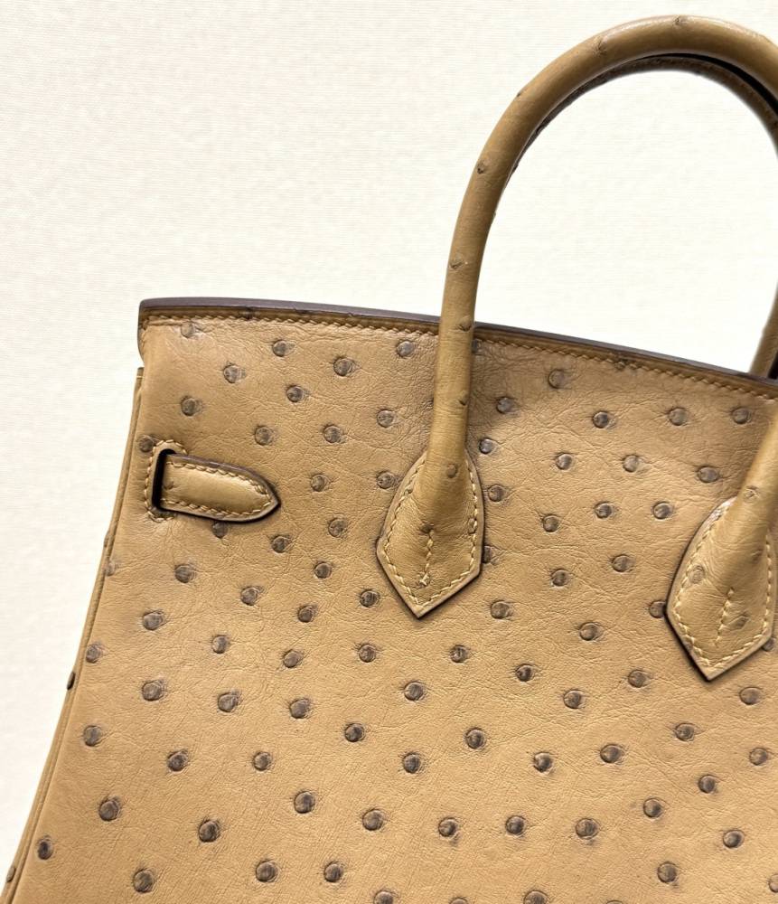 The Hermès Birkin 30 in Ostrich leather—in the "Milk Tea" shade (also known as "Light Camel" or "Sand") paired with gold hardware—stands as one of the quintessential examples of rare-skin handbags with a soft, gentle aesthetic.