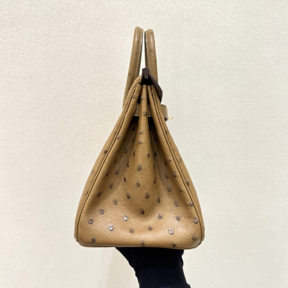 The Hermès Birkin 30 in Ostrich leather—in the "Milk Tea" shade (also known as "Light Camel" or "Sand") paired with gold hardware—stands as one of the quintessential examples of rare-skin handbags with a soft, gentle aesthetic.