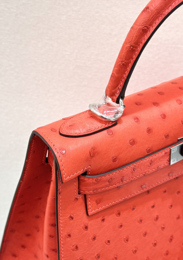 The Hermès Kelly 25 handbag in ostrich leather—featuring a striking orange-red hue (tomato red / flame red) paired with silver hardware—stands as a highly sought-after model among Hermès' exotic skins, distinguished by its exceptional vibrancy and unmista