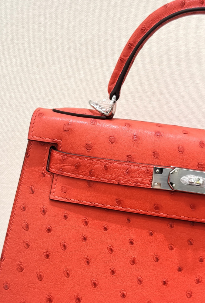 The Hermès Kelly 25 handbag in ostrich leather—featuring a striking orange-red hue (tomato red / flame red) paired with silver hardware—stands as a highly sought-after model among Hermès' exotic skins, distinguished by its exceptional vibrancy and unmista