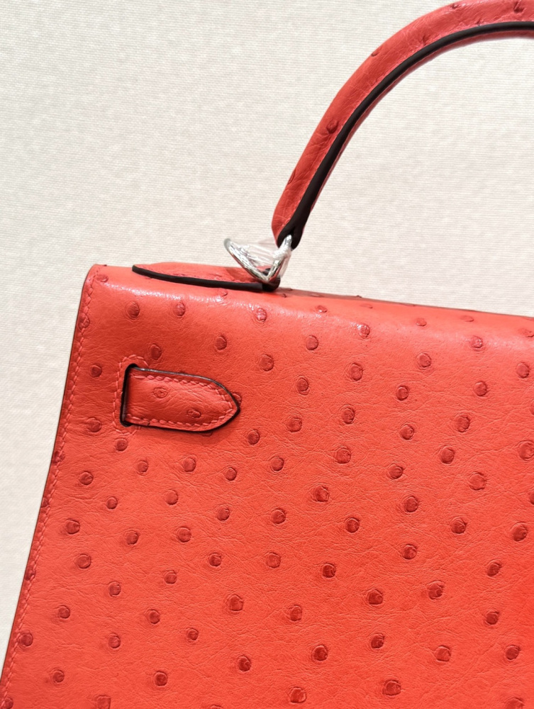 The Hermès Kelly 25 handbag in ostrich leather—featuring a striking orange-red hue (tomato red/flame red) paired with silver hardware—stands out as a highly vibrant, instantly recognizable, and sought-after model among Hermès' exotic leather offerings.