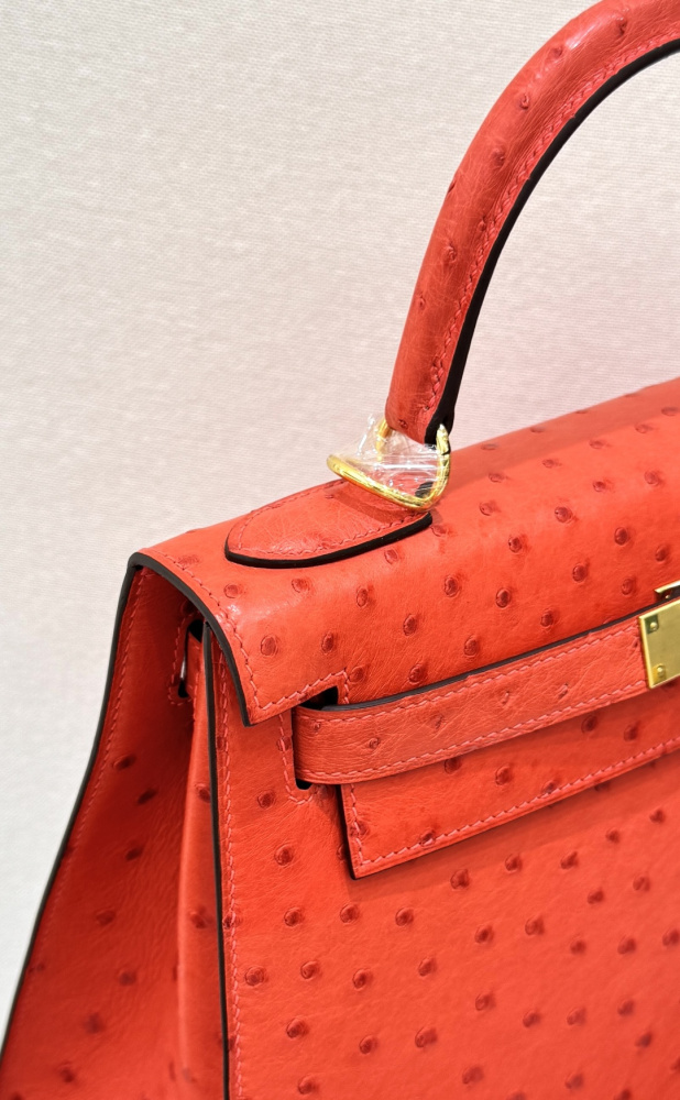 The Hermès Kelly 25 handbag in ostrich leather—featuring a striking orange-red hue (tomato red/flame red) paired with silver hardware—stands out as a highly vibrant, instantly recognizable, and sought-after model among Hermès' exotic leather offerings.