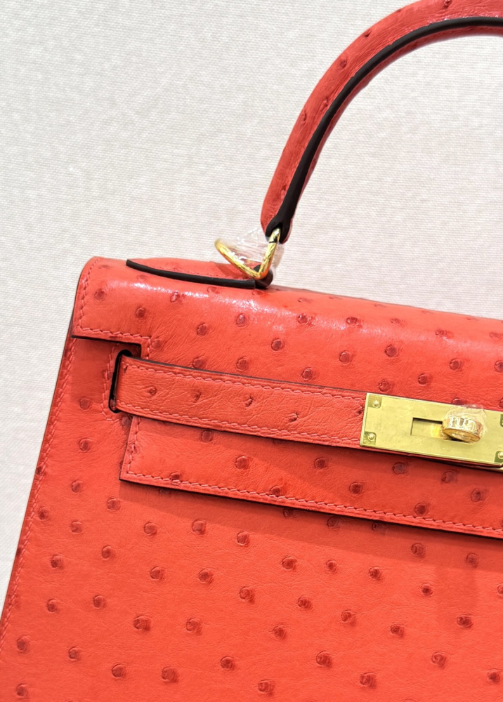 The Hermès Kelly 25 handbag in ostrich leather—featuring a striking orange-red hue (tomato red/flame red) paired with silver hardware—stands out as a highly vibrant, instantly recognizable, and sought-after model among Hermès' exotic leather offerings.