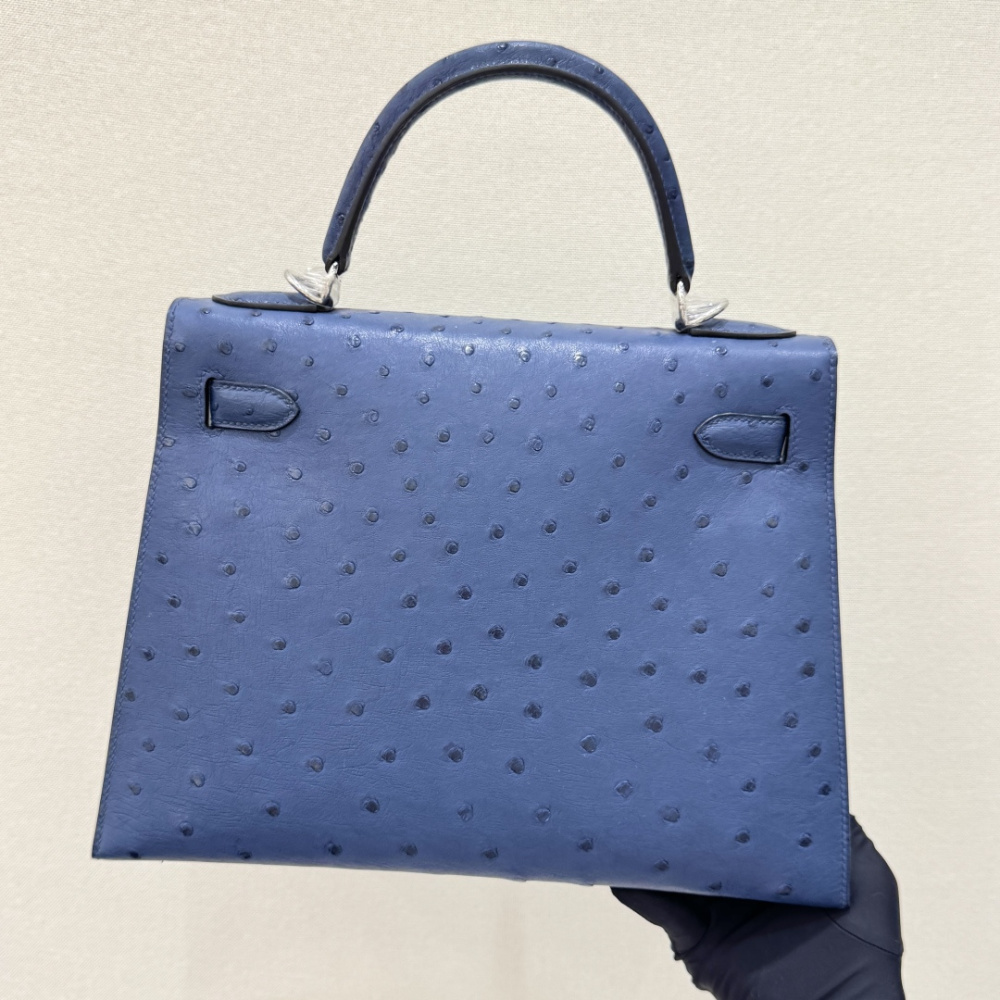The Hermès Kelly 25 handbag in ostrich leather—featuring a fresh "Haze Blue" (also known as "Sailor Blue" or "Atlantic Blue") paired with silver hardware—stands as a quintessential example of the cool, sophisticated elegance characteristic of Hermès' exot