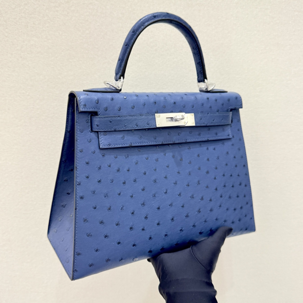 The Hermès Kelly 25 handbag in ostrich leather—featuring a fresh "Haze Blue" (also known as "Sailor Blue" or "Atlantic Blue") paired with silver hardware—stands as a quintessential example of the cool, sophisticated elegance characteristic of Hermès' exot