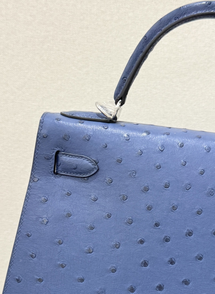 The Hermès Kelly 25 handbag in ostrich leather—featuring a fresh "Haze Blue" (also known as "Sailor Blue" or "Atlantic Blue") paired with silver hardware—stands as a quintessential example of the cool, sophisticated elegance characteristic of Hermès' exot