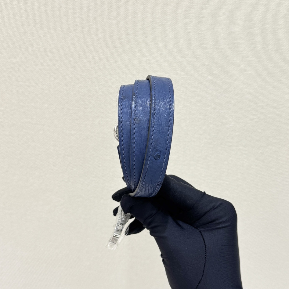 The Hermès Kelly 25 handbag in ostrich leather—featuring a fresh "Haze Blue" (also known as "Sailor Blue" or "Atlantic Blue") paired with silver hardware—stands as a quintessential example of the cool, sophisticated elegance characteristic of Hermès' exot