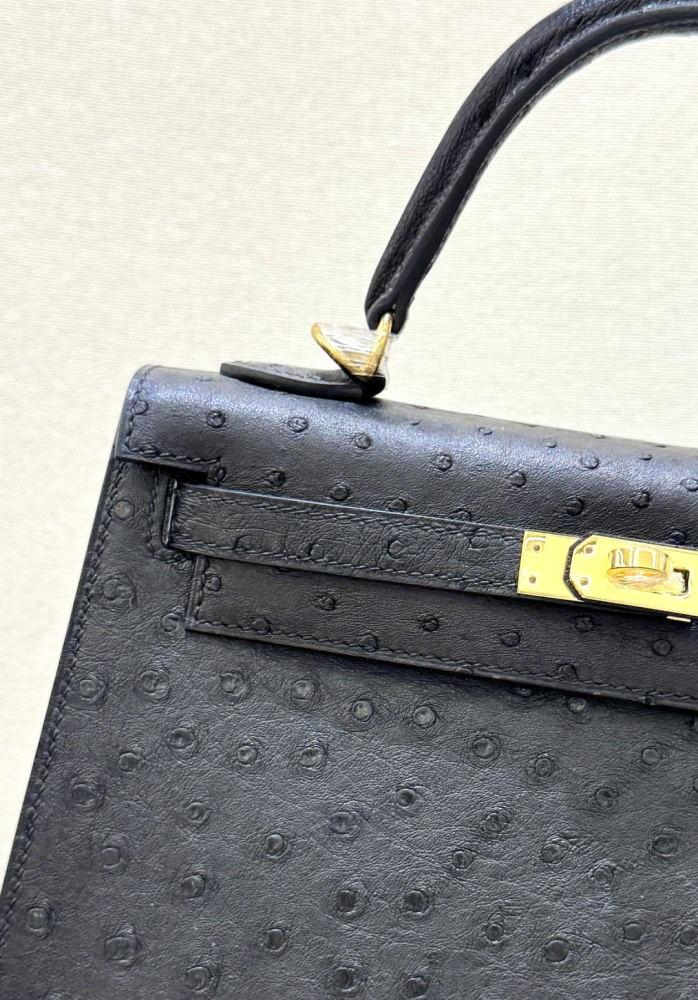 The Hermès Kelly 25 handbag in ostrich leather—featuring classic black paired with gold hardware—stands as one of the "hard currencies" among Hermès' exotic skins, offering a perfect blend of practicality and collectible value.