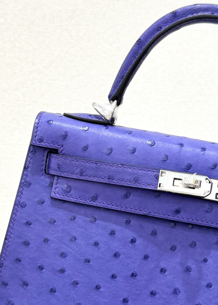 The Hermès Kelly 25 handbag in ostrich leather—featuring a striking electric purple (Iris/Lavender) hue paired with silver hardware—stands as an iconic representative among Hermès' exotic skins, distinguished by its exceptional individuality and artistic