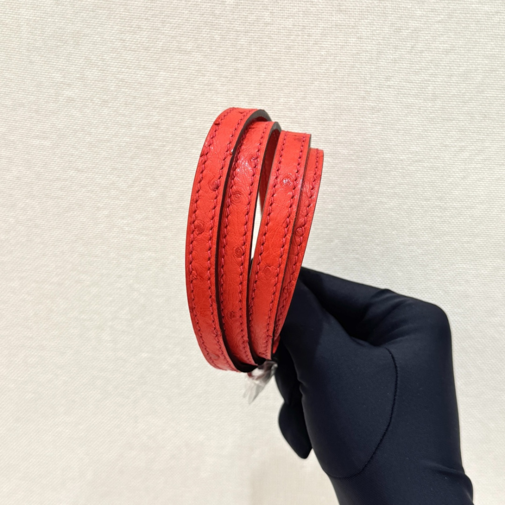The Hermès Mini Bolide handbag in ostrich leather—featuring a striking Tomato Red (orange-red) hue paired with silver hardware—is a vibrant and highly sought-after piece within the brand's rare skins collection.