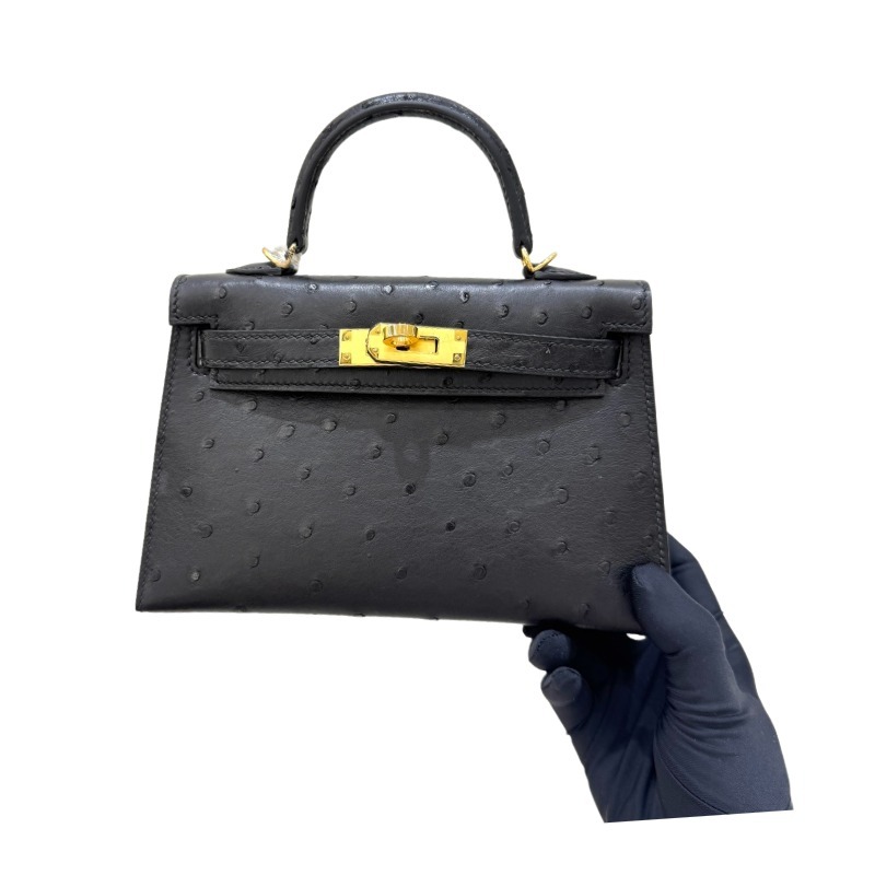 The Hermès Kelly 25 handbag in ostrich leather—featuring classic black paired with gold hardware—stands as one of the "hard currencies" among Hermès' exotic skins, offering a perfect blend of practicality and collectible value.