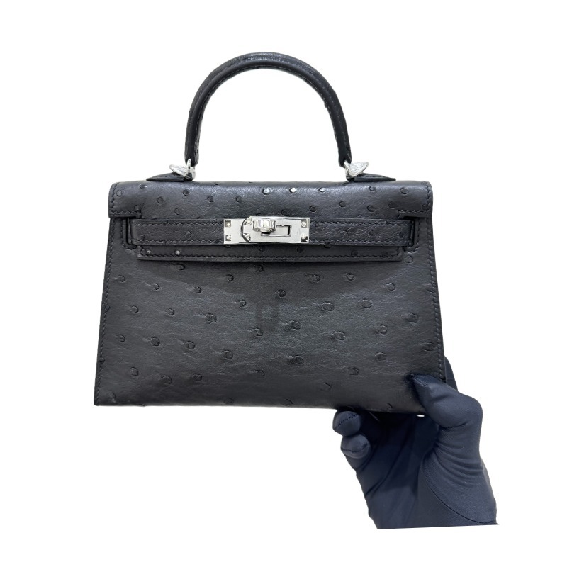 The Hermès Kelly 25 handbag in ostrich leather—featuring a classic black finish paired with silver hardware—stands as one of the "hard currencies" among Hermès' exotic skins, offering a rare blend of both practicality and collectible value.