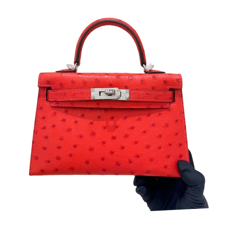 The Hermès Kelly 25 handbag in ostrich leather—featuring a striking orange-red hue (tomato red / flame red) paired with silver hardware—stands as a highly sought-after model among Hermès' exotic skins, distinguished by its exceptional vibrancy and unmista