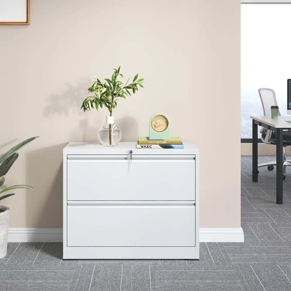 2 Drawer Lateral File Cabinet with Lock, Metal Filing Cabinets for Home Office Storage, Letter/Legal/A4,Assembly Required