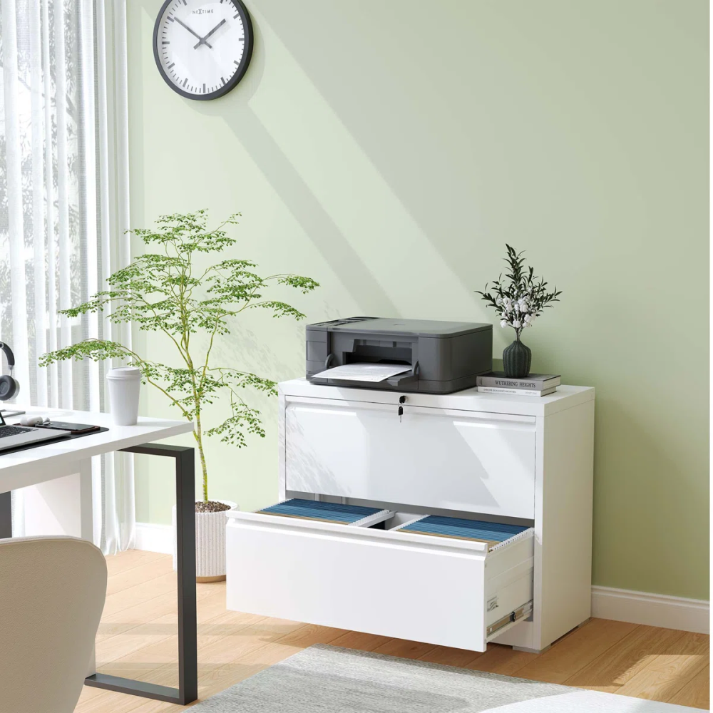 2 Drawer Lateral File Cabinet with Lock, Metal Filing Cabinets for Home Office Storage, Letter/Legal/A4,Assembly Required