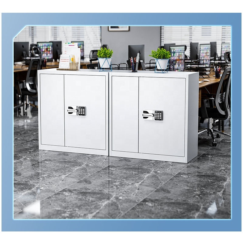 Modern Design Steel Filing Cabinet 2 Doors Adjustable Shelves Black Code Lock Mobile Eco-Friendly Large Capacity Apartment