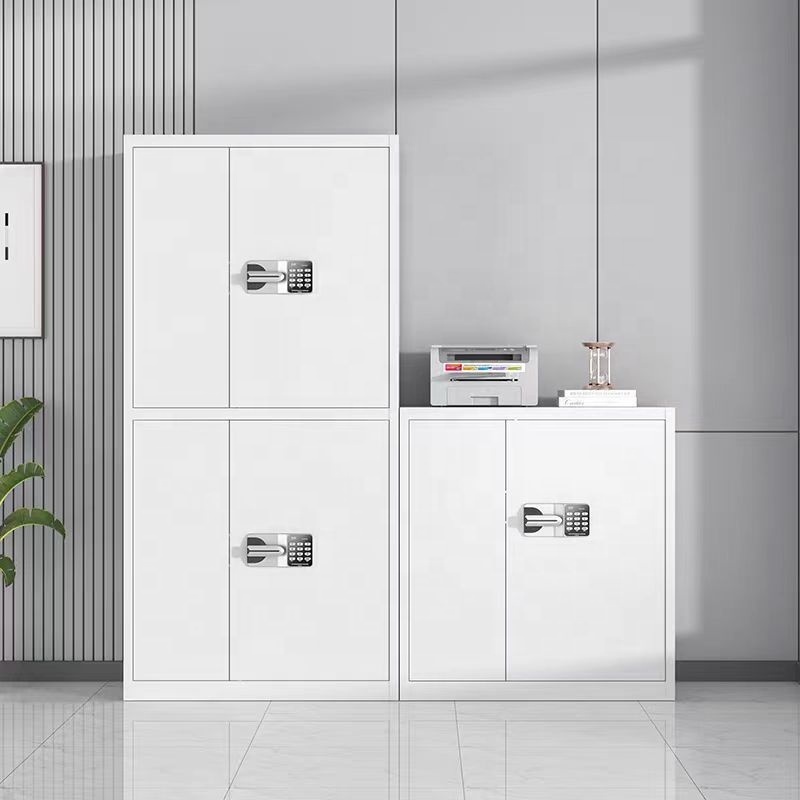 Modern Design Steel Filing Cabinet 2 Doors Adjustable Shelves Black Code Lock Mobile Eco-Friendly Large Capacity Apartment