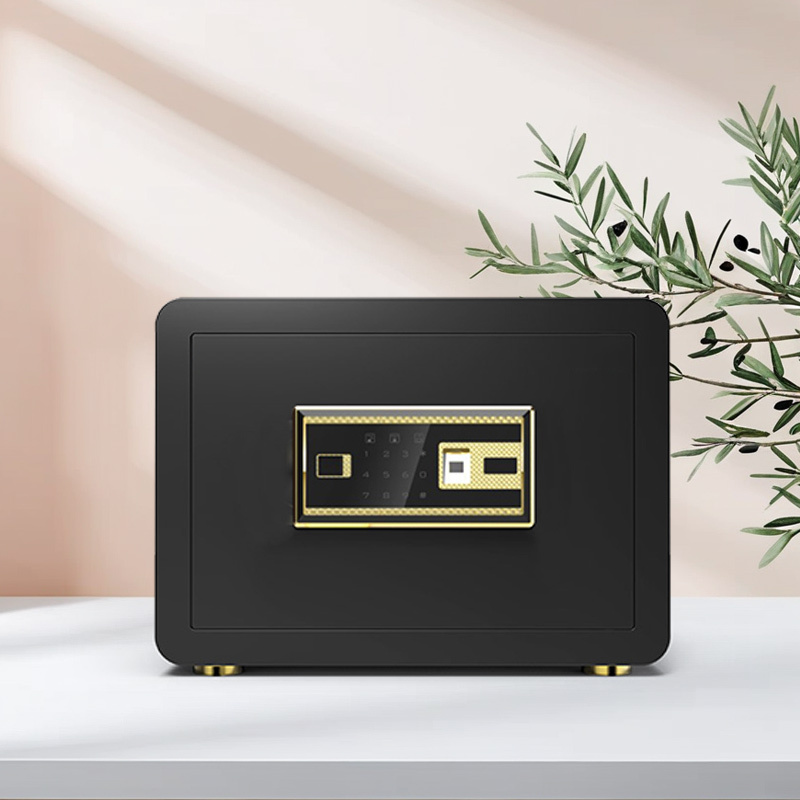 Luxury Thickened Steel Fingerprint Lock Vault Modern Home Hotel Safe Deposit Box with Stylish Storage for Living Room