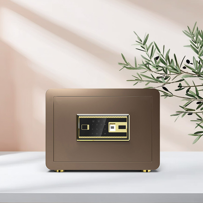 Luxury Thickened Steel Fingerprint Lock Vault Modern Home Hotel Safe Deposit Box with Stylish Storage for Living Room