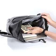 Canair Laptop Haversack