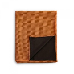 Ecoity Cooling Sport Towel