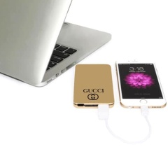 2 in 1 USB Flash Drive Powerbank (4000mah, 8GB)