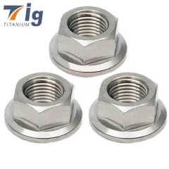 Titanium M6 M8 M10 Hexagon Flange Nut Hex Flanged Nut