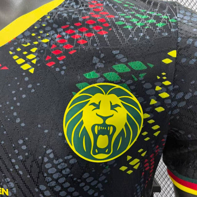 Player 2026 Cameroon Special Football jersey