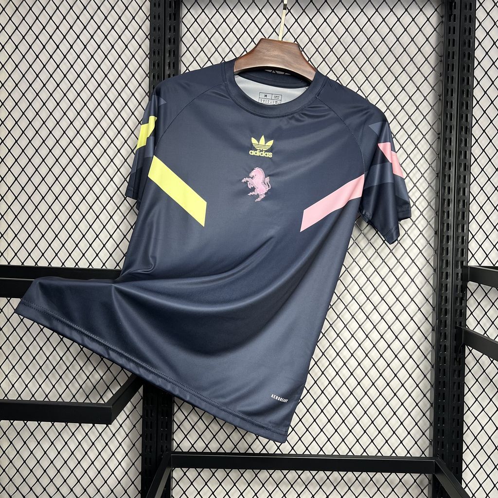 2024-25 Juventus Pre-match training uniform Football jersey