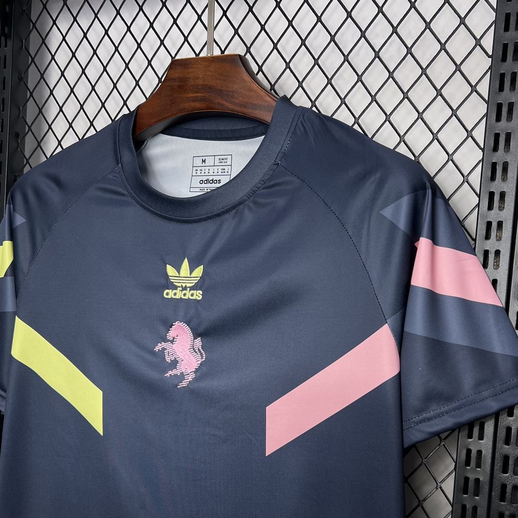2024-25 Juventus Pre-match training uniform Football jersey